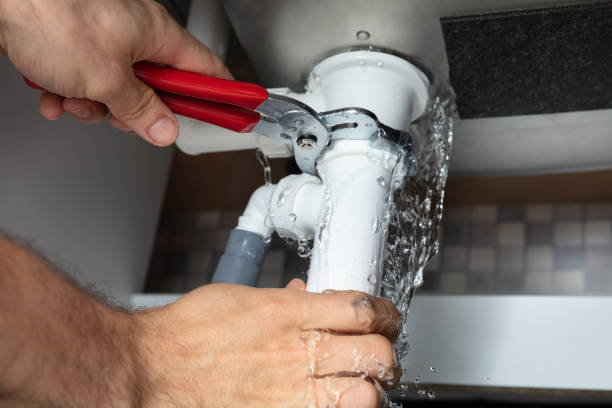Best Ceiling water damage repair  in Farm Loop, AK