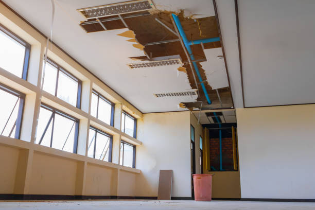 Best Commercial water damage restoration  in Farm Loop, AK