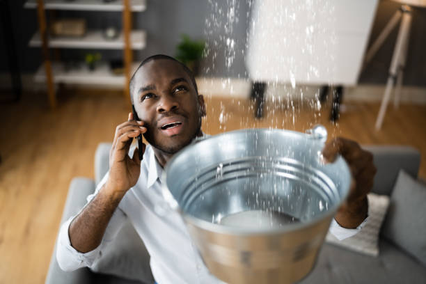 Best 24-hour water damage restoration  in Farm Loop, AK