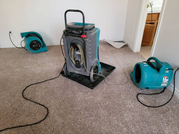 Best Fire Damage Restoration  in Farm Loop, AK