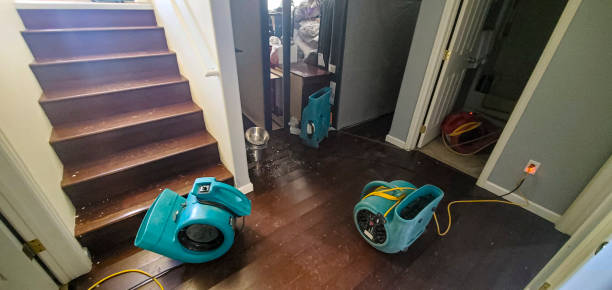 Trusted Farm Loop, AK Water damage restoration Experts