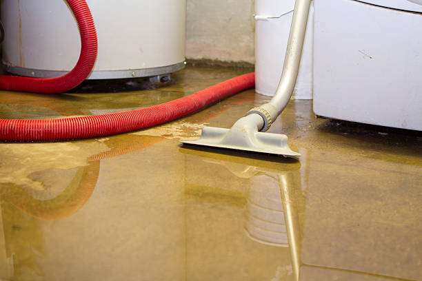 Best Local water damage restoration  in Farm Loop, AK