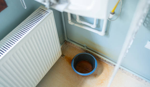 Best Carpet water damage restoration  in Farm Loop, AK