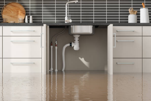 Best Emergency water extraction  in Farm Loop, AK