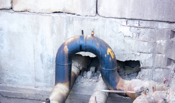 Best Local water damage restoration  in Farm Loop, AK