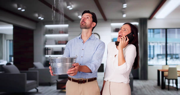 Best Water damage restoration near me  in Farm Loop, AK